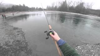 Winter Steelhead -- Bobber Down