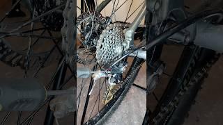 Quick bike gear adjustment #biketips #mtb