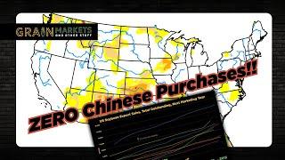 US Weather + ZERO Chinese Corn/Soybean Purchases