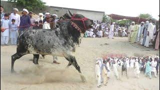 Baisakhi Mela Festival in Punjab  Pakistan Baisakhi video 2023 koru sohiya