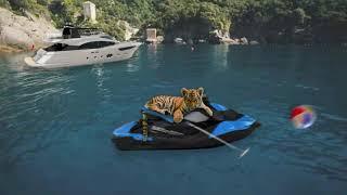 Render02   Tiger On The Jetski