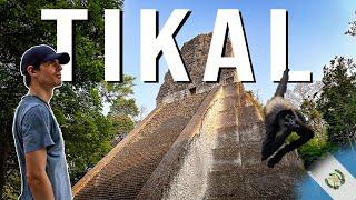 The BEST Way to Visit TIKAL Maya Ruins (Sunset Tour) | FLORES, GUATEMALA