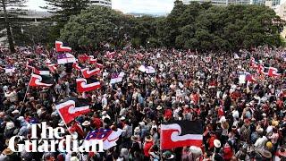 Thousands march on NZ parliament in protest against change to Māori treaty bill