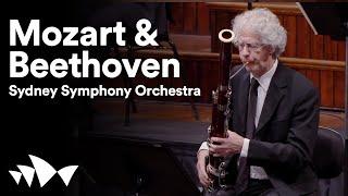 @sydneysymphony: Mozart & Beethoven