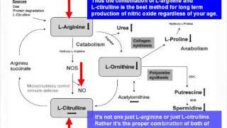 The Truth About L-Arginine