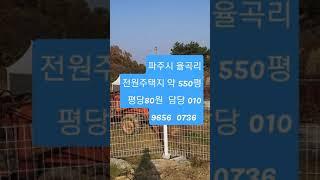 파주시 문산읍 서울 문산간고속도로 끝지점 내포ic 10분거리  전원주택부지 !  약200평  평당 85만원 ㆍ자막 가격오류 죄송ㆍ  담당  010  9656  0736