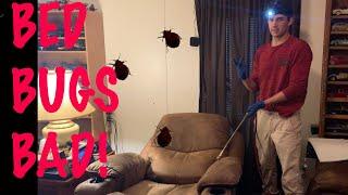 Gross Bed Bug Infestation and Treatment