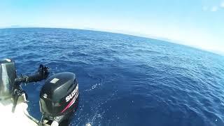 Suzuki outboard 60hp Four stroke acceleration test