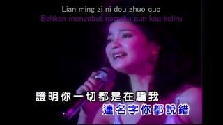 Teresa Teng - Ni Zen Me Shuo (lirik pinyin + terjemahan Bahasa Indonesia)