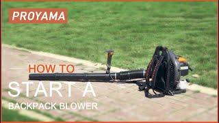 Proyama Backpack Leaf Blower 54cc Starting Instruction from Amazon