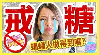 【挑戰】一週戒糖挑戰！不碰飲料、甜點會瘦嗎？體重少了X公斤？│八婆BESTIES