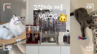 [ VLOG ] 고양이랑 함께하는 홈카페 갬성| 코시국엔 집이 최고지 | 홈카페 브이로그 | 고양이 브이로그 | 고양이 너무 예뻐 넋을 놓고 보게되는 마법 뾰로롱 |