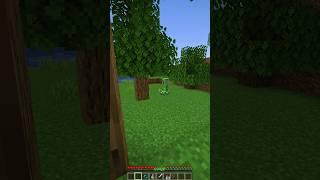 Minecraft Creeper Base Crazy End (@Uninstall.exe06) #shorts