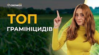 Як Захистити поля від Злакових Бур'янів? Топ-3 Грамініциди: Кайман, Вентура, Лобера