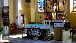 dlaCiebietv – transmisja na żywo