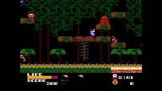 MiSTer FPGA NES FDS Wardner