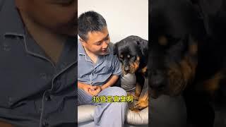 哈哈哈哈哈哈哈 #拉登与阿亮的日常生活