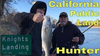 Delta Striped Bass  Fishing Knights Landing #bayareafishing  #stripedbass  #knightslanding