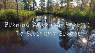 Burning American Forests to Electrify Europe - Wood Pellet Documentary - North Carolina USA