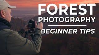 Forest Photography Tips I Wish I Knew When I Started