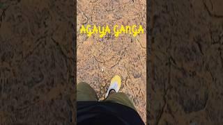 300km Travel 1196 steps To See This  #agayagangawaterfalls #kollihills #samsunggalaxy #kollimalai