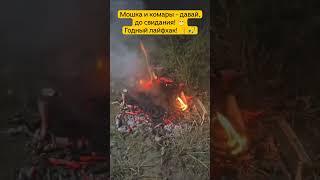 Держите рыбацкий лайфхак от комаров и мошек #рыбалка #лайфхак #мошки #комары
