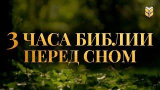 3 часа Библии на перед сном. Современный перевод Библии #biblevision