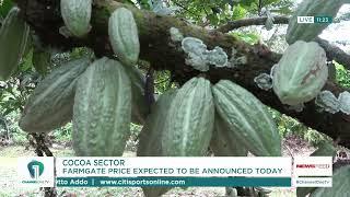 Ghana Cocoa Board's Farmgate Price Announcement Today #ChannelOneNews