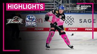 Augsburger Panther - Straubing Tigers | PENNY DEL | MAGENTA SPORT