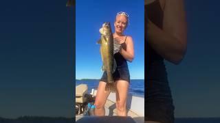 HAWG Walleye!!! Who else is excited for the summer walleye bite?!?! #walleyefishing #fishing #hawg