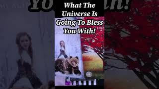 What The Universe Is Going To Bless You With Is Better Than You Think!