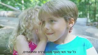 מדבקות תדרים QL - התדרים בגוף האדם