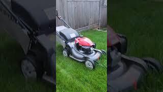 BEST PUSH MOWER EVER BUILT imo #honda #mowing #green #grass #cool #strong #best #mower #power