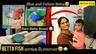 fish vlog  | Fish  வாங்க போலாமா  | Rare Breed Betta || Blue and Yellow Colour || @MorareVlogs