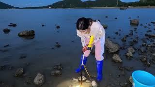 Beach harvest/Looking for seafood after low tide/Catch big crabs