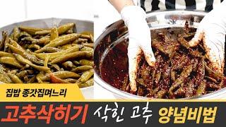 삭힌 고추 양념 비법 청양 고추 삭히기 구멍 뚫지 마세요