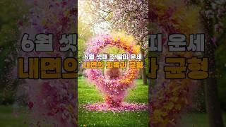 [골목점집 운세]  돼지띠 주간운세｜이번 주, 행운이 쏟아질지도 몰라요!