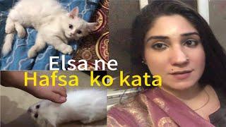 Bohat Elsa ne mastiya ki ||  hafsa ko katliya aur sis k ghr m sub ne enjoy kiya