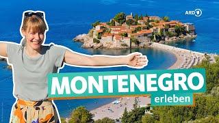 Insider tip Montenegro – dream vacation in the Balkans | WDR Reisen