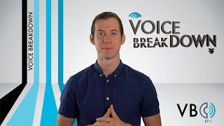 "What Is A Voice Breakdown?" - Voice Breakdown Ep. 1 - How To Do Voice Impressions