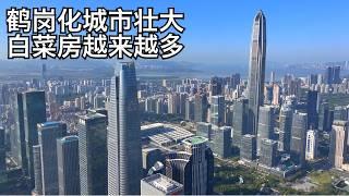 中国收缩型城市在逐步扩大,鹤岗化城市房价暴跌,可对两类人好处多多(小叔TV EP342)