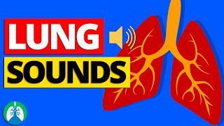 Lung Sounds (Abnormal Breath Sounds and Auscultation) | Respiratory Therapy Zone