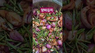 몸에 좋은 양파를 맛있게 많이 먹는 방법이예요 #부추필수##텃밭가꾸기 #도시농부 #유기농 #힐링 #초보농부 #양파김치