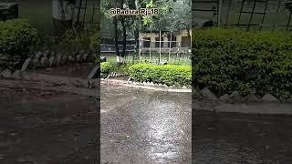 Ye Mosam Bhi Gaya - A Celebration of Monsoon Romance ye #Mosam  #baarish #maahikirecipe, #balma
