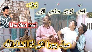 Nasir bhai ki Chath py shugal mela lag gaya | Bazi ki update | Nasir pigeon club| Khokhar pigeons