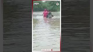 Bharuch News | ભરૂચમાં આમોદ પુરસા રોડ ઉપર પાણી ફરી વળ્યા | Monsoon | Heavy Rain | Rain Forecast