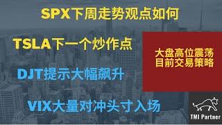 【美股分析】SPX下周走势观点如何？TSLA下一个炒作点是什么？DJT提前提示大幅飙升！MSFT到达短线目标位！VIX大量对冲头寸入场！点击下方网站链接获得更多投资信息！