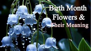 Birth Flowers By Month And Meaning | Whats Your Birth Flower Says About You #richscenic #viralvideos