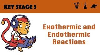 Exothermic and Endothermic Reactions