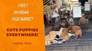 First Monday Flea Market, Canton, Texas | Dogs Section | Cute Puppies Everywhere!